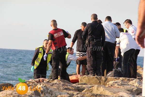 jotha northyaffa dolfan (20).JPG